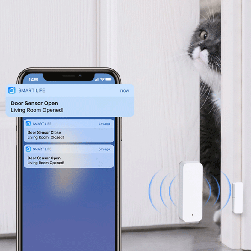 مستشعر الاتصال بالباب والنافذة - مراجعة Smart Home Remote وسعره