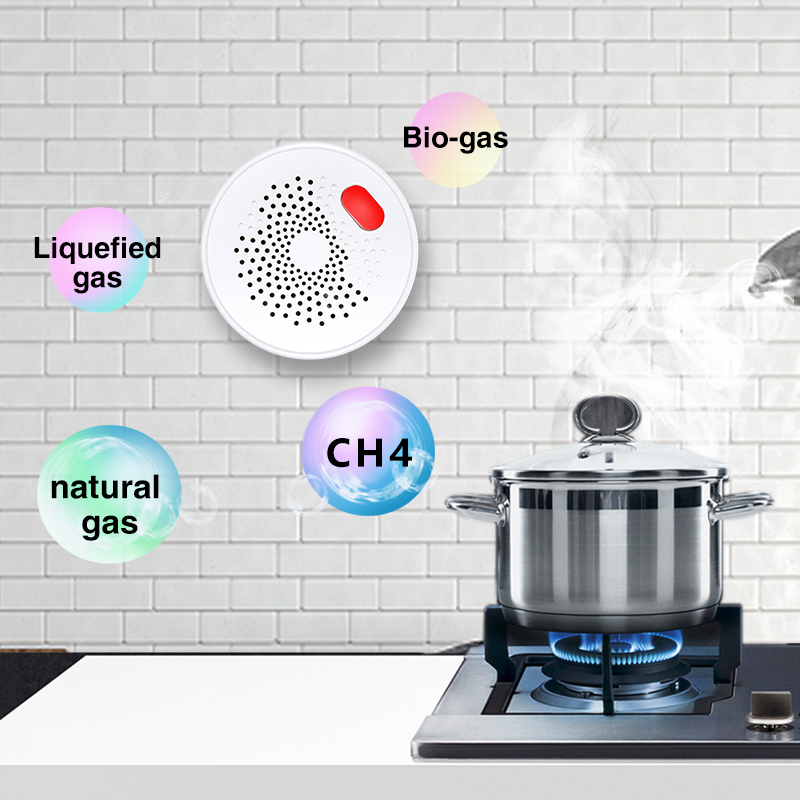 Tuya المنزل الذكي واي فاي الغا - مراجعة Smart Home Network وسعره